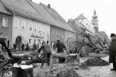 1. Baumfällung Kastanienbäume Marktplatz