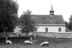 1_Nr.-246-Schweinezucht-neben-der-St.-Peter-Kirche