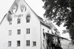 41. Brand-Baywa
