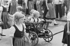 Nr.-307-Festzug-Nr.3