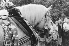 Nr.-333-Festzug-Tirschenreuth