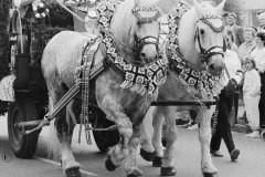 Nr.-334-Festzug-Tirschenreuth