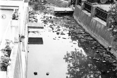 Nr.-336-Stillgelegte-Naab-an-der-Johannisbruecke