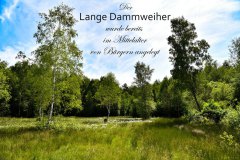 1_Nr.-188-Der-Langen-Dammweiher