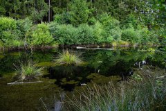 Moorlandschaft