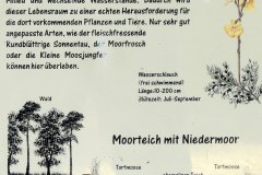Lebensraum Moorweiher