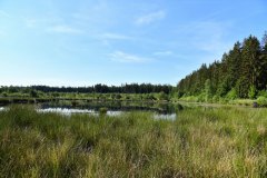 Nr.-100-Moor-Huni-2022