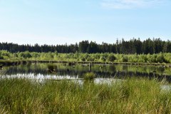Nr.-102-Moor-Juni-2022