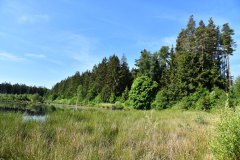 Nr.-103-Das-neue-Moor-2022