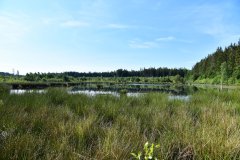 Nr.-104-Das-neue-Moor