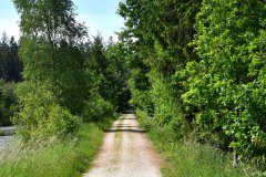 Nr.-108-Der-weisse-Weg-beim-neuen-Moor