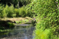 Nr.-131-Ablauf-Moor-am-langen-Damm