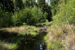 Nr.-138-Ablauf-das-neue-Moor