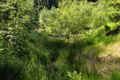 Nr.-144-Ablauf-das-neue-Moor