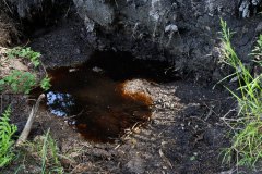 Nr.-145-Ablauf-das-Neue-Moor-Moorwasser