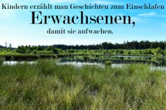 Nr.-154-Das-neue-Moor-am-langen-Damm