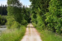 Nr.-182-Der-weisse-Weg-neben-dem-Moor