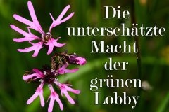 Nr.-184-Die-unterschaetzte-Macht-der-gruenen-Lobby