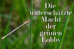 Nr.-186-Die-unterschaetzte-Macht-der-gruenen-Lobby
