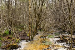 1_Nr.-333-Wasserzulauf-Engelmannsholz