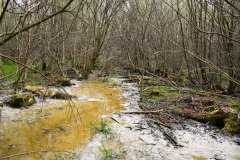 1_Nr.-336-Wasserzulauf-Engelmannsholz