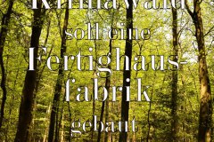 1_Nr.-374-Klimawald-Engelmannsholz-Versiegelung