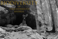 1_Nr.-973-Sealing-of-biodiversity-in-Tirschenreuth