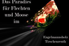 Fotomontage-Flechten-Engelmannsteich