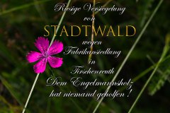 Nr.-1001-Versiegelung-von-Stadtwald-Tirschenreuth