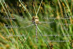 Nr.-1014-Biodiversitaetsgebiet-Engelmannsholz