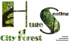 Nr.-1017-Sealing-City-forest-Engelmannsholz