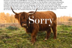 Nr.-1022-Sorry-fuer-den-Homepagefehler