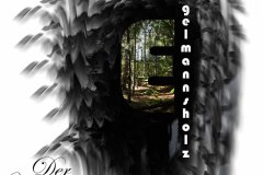 Nr.-1034-Engelmannsholz-der-Wald-der-Kinder