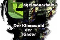 Nr.-1035-Klimawald-der-Kinder-Engelmannsholz