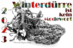 Nr.-1037-Winterduerre-ist-kein-Modewort