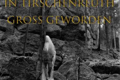 Nr.-1038-Luftverschmutzung-Lastwagen-Tirschenreuth