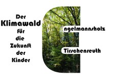 Nr.-1048-Engelmannsholz-Klimawald-der-Kinder