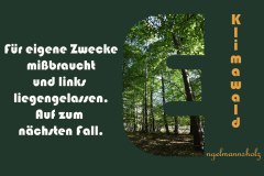 Nr.-1052-Versiegelung-Engelmannsholz
