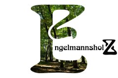 Nr.-1068-Versiegelung-Engelmannsholz