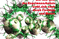 Nr.-1073-Rote-Liste-Moose-Flechten-Engelmannsholz