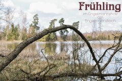 Nr.-1077-Fruehling-im-Engelmannsholz-am-Engelmannsteich