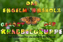 Nr.-1090-Der-Klimawald-der-Kinder-Engelmannsholz