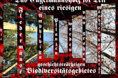 Nr.-1097-Die-Maechte-des-Engelmannsholzes