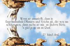 Nr.-1099-Wenns-Engelmannsholz