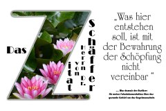 Nr.-1113-Die-Schoepfung
