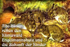 Nr.-1131-Hasen-retten-das-Engelmannsholz