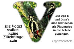 Nr.-1132-Die-Voegel-im-Engelmannsholz