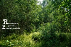Nr.-1150-Naturschutzgebiet-Engelmannsholz