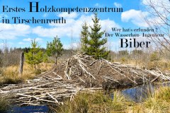 Nr.-125-Holzbau-Ingenieur-Biber