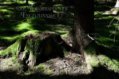 Nr.-1251-Wasserspeicher-Engelmannsholz